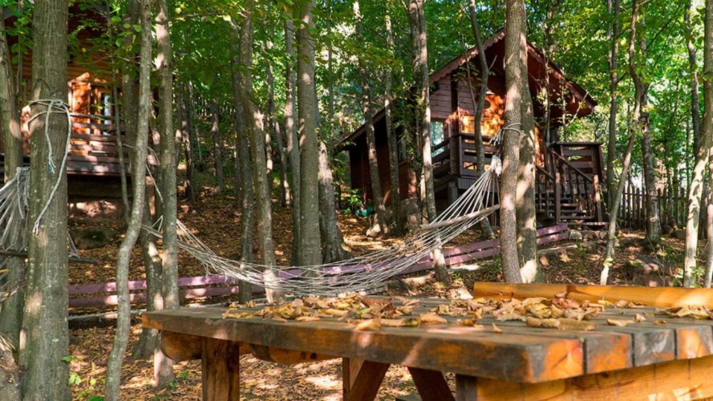 Ağaç Evlerde Unutulmaz Bir Tatil Deneyimi