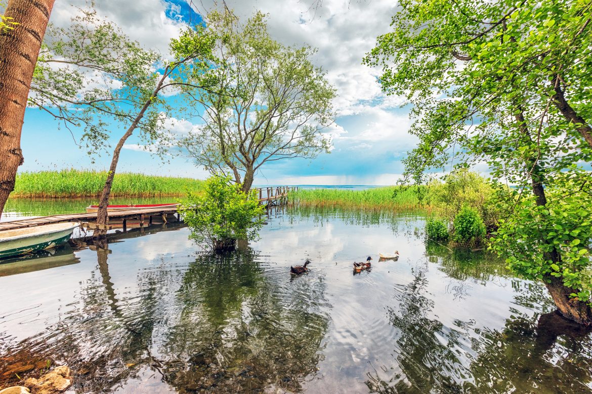 Sapanca da Yapılacaklar Listesi